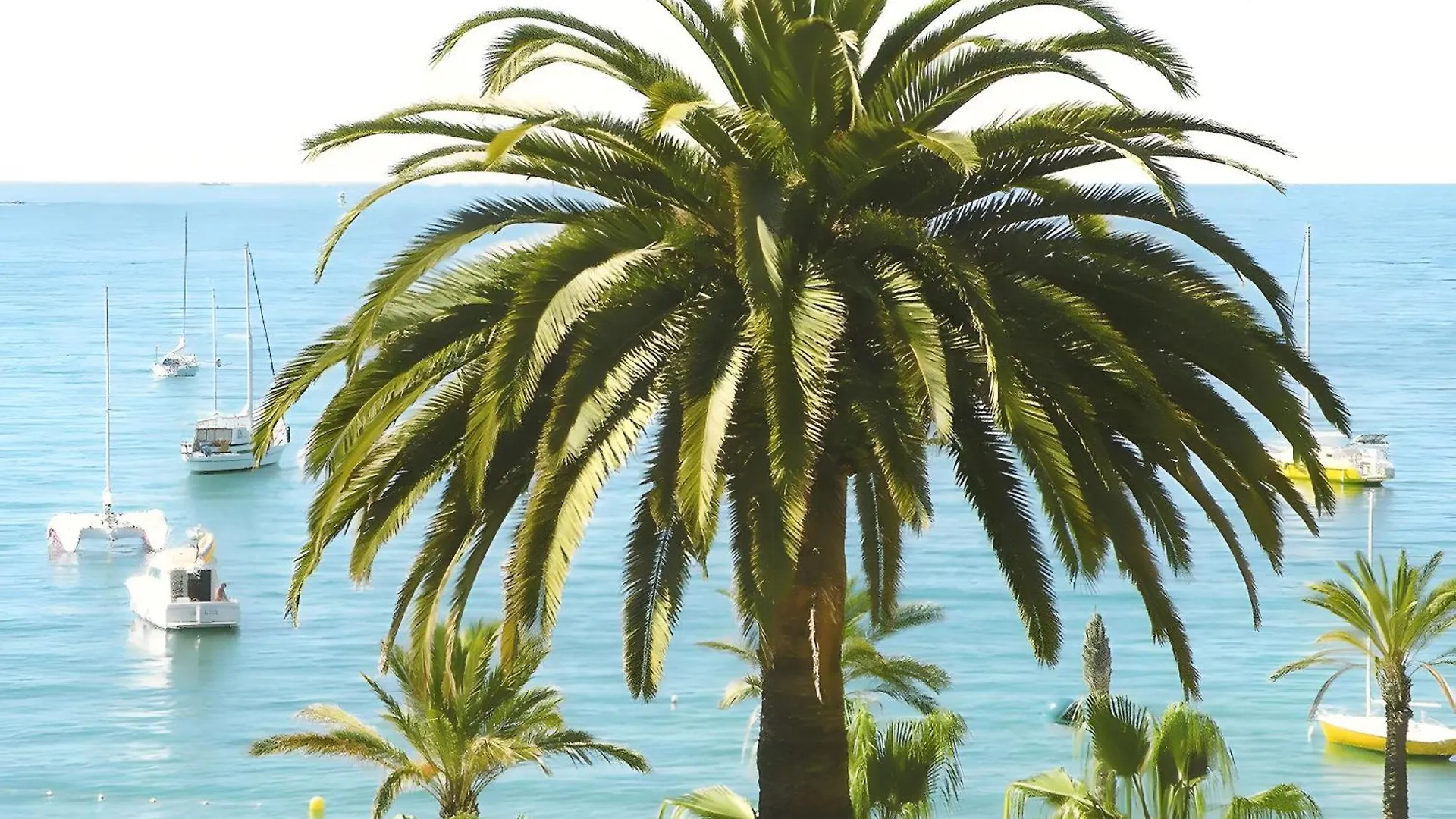 Studio Clim Proche Plage Et Parking